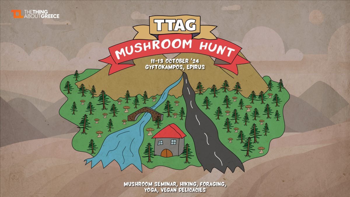 TTAG Mushroom Hunt Weekend 11-13/10/24